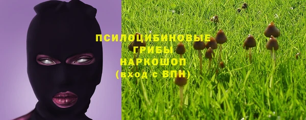 хмурый Балахна