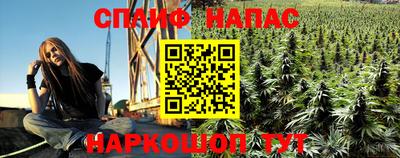 jwh Будённовск